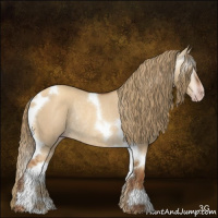 Horse Color:Gray Gold Champagne Dun Tobiano Rabicano 