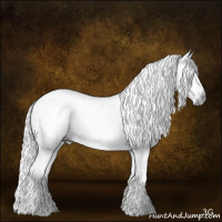 Horse Color:Gray Grullo Tobiano