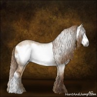 Horse Color:Gray Red Dun Frame