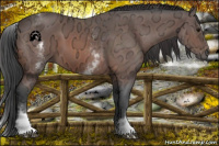 Horse Color:White Spotted Bay Ice