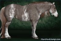 Horse Color:White Spotted Liver Chestnut Ice 