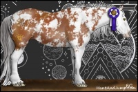 Horse Color:Bay Sabino Splash 