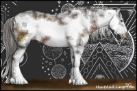 Horse Color:Liver Chestnut Sabino Frame 