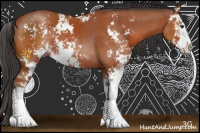 Horse Color:Bay Sabino 