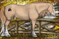 Horse Color:Gold Champagne Roan Splash Rabicano 