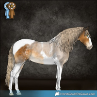 Horse Color:White Spotted Chocolate Palomino Mushroom Tobiano