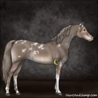 Horse Color:White Spotted Liver Red Dun Mushroom Tobiano 