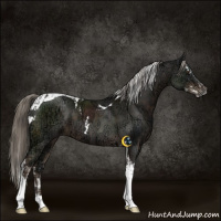Horse Color:Liver Chestnut Ice Mushroom Splash  and Liver Chestnut Ice Mushroom Tobiano 