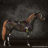Horse Color:White Spotted Midnight Liver Red Dun Sabino Brindle