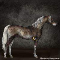 Horse Color:Liver Red Onyx Ice Mushroom 