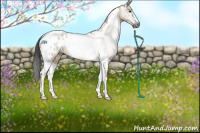 Horse Color:Gray Brown Dun Tobiano Appaloosa Rabicano