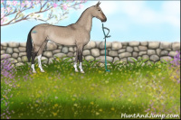 Horse Color:Brown Dun 