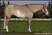 Horse Color:Liver Red Dun Sabino 