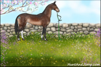 Horse Color:Brown Sabino Snowflake Varnish Rabicano 