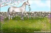 Horse Color:Gray Buckskin Dun Sabino Rabicano