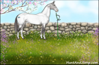 Horse Color:Platinum Buckskin Dun Sabino Near Fewspot Rabicano 