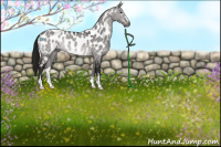 Horse Color:Gray Platinum Buckskin Dun Sabino Near Leopard Rabicano 