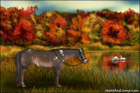 Horse Color:White Spotted Liver Chestnut Rabicano