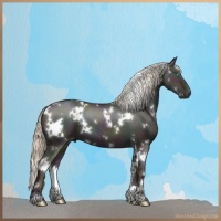 Horse Color:White Spotted Midnight Chocolate Palomino Pearl Dun