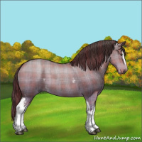 Horse Color:Plaid White Spotted Liver Red Dun Sabino Brindle