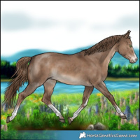 Horse Color:White Spotted Liver Red Dun Sabino Rabicano 