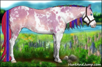Horse Color:Painted Watercolor White Spotted Liver Red Dun Splash Rabicano 
