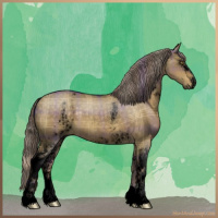 Horse Color:Void Plaid  White Spotted Chocolate Palomino Dun 