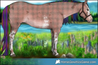 Horse Color:Painted Plaid  White Spotted Liver Red Dun Ice Sabino 