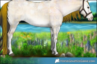 Horse Color:Plaid  White Spotted Liver Red Dun Ice Roan Onyx 