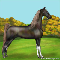 Horse Color:Midnight Chocolate Palomino Onyx Tobiano Rabicano