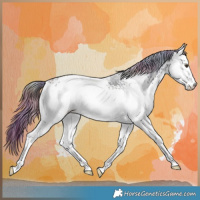 Horse Color:Nacre Plaid  White Spotted Liver Red Dun Ice Roan Rabicano Brindle 