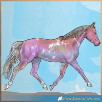 Horse Color:Watercolor White Spotted Chocolate Palomino Rabicano 