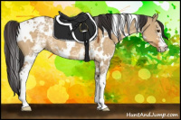 Horse Color:White Spotted Buckskin Dun 