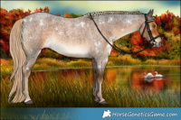 Horse Color:White Spotted Chocolate Palomino Roan 