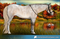 Horse Color:Chocolate Palomino Roan Tobiano