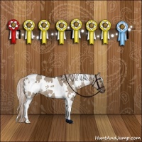Horse Color:White Spotted Liver Red Dun Tobiano 