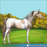 Horse Color:Liver Red Dun Pearl Tobiano