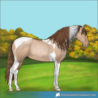 Horse Color:Liver Red Dun Pearl Tobiano 