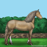 Horse Color:Chocolate Palomino Dun Sabino Brindle
