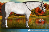 Horse Color:White Spotted Liver Red Dun Roan Rabicano Brindle 