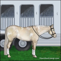Horse Color:White Spotted Chocolate Palomino Pearl Dun Brindle