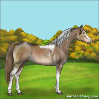 Horse Color:White Spotted Liver Red Dun Tobiano Brindle 
