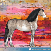 Horse Color:Brown Dun Sabino Brindle 