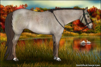 Horse Color:Liver Red Dun Roan Brindle 