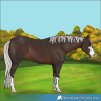 Horse Color:Silver Brown 
