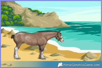 Horse Color:White Spotted Liver Red Dun Rabicano 