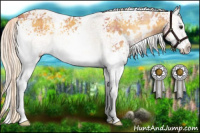 Horse Color:Plaid White Spotted Palomino Onyx Rabicano