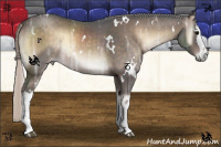 Horse Color:White Spotted Silver Brown Ice Onyx Brindle 