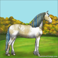 Horse Color:Painted Plaid  White Spotted Liver Red Dun Ice 