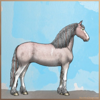 Horse Color:Painted White Spotted Chocolate Palomino Ice Roan Dun Mushroom 